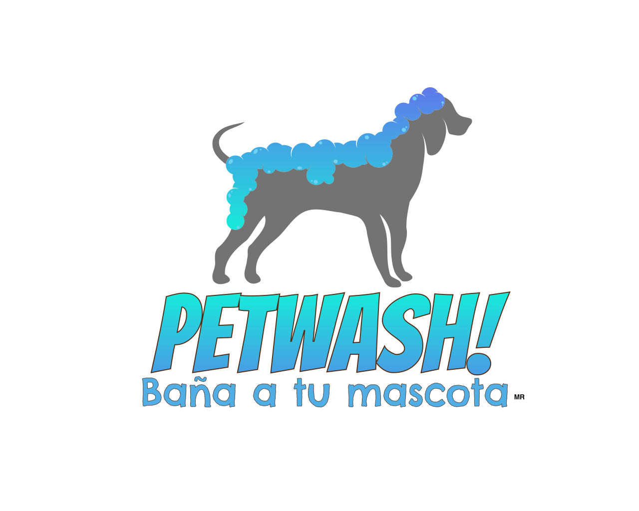 PetWash